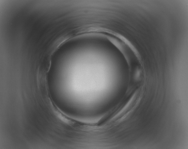 X0000083531289200702090957