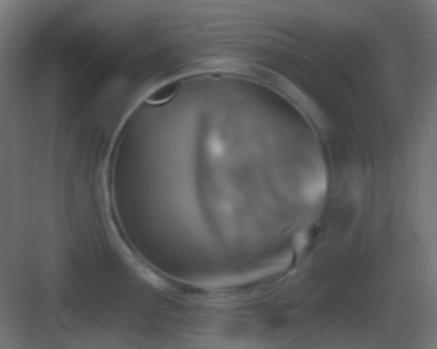 X0000083531291200702090957