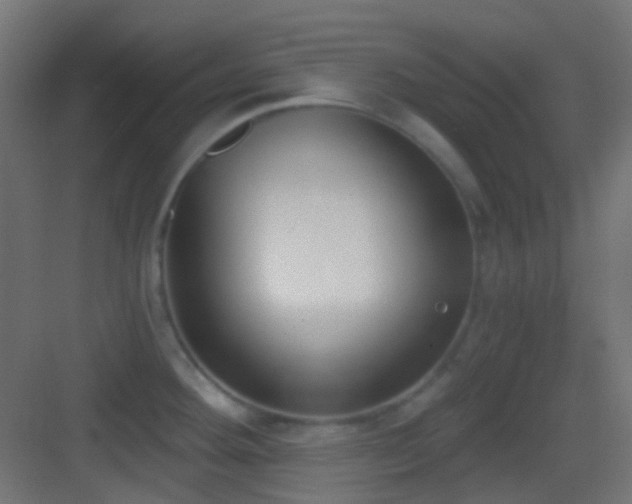 X0000083531292200702090957