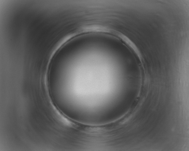 X0000083531293200702090956