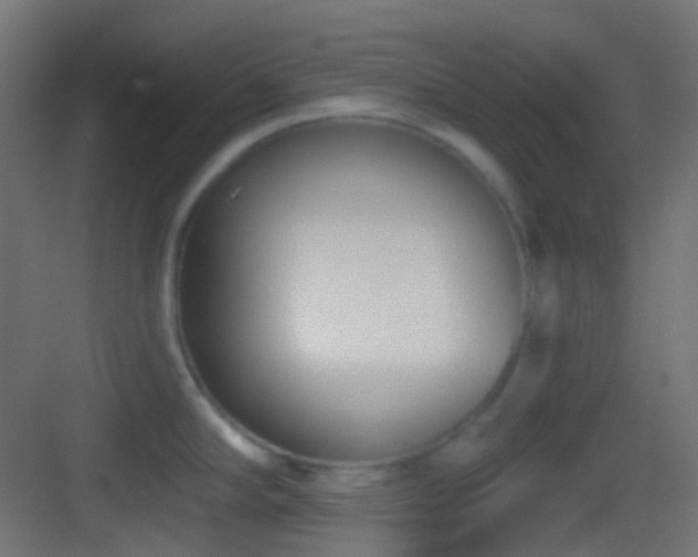 X0000083531294200702090956