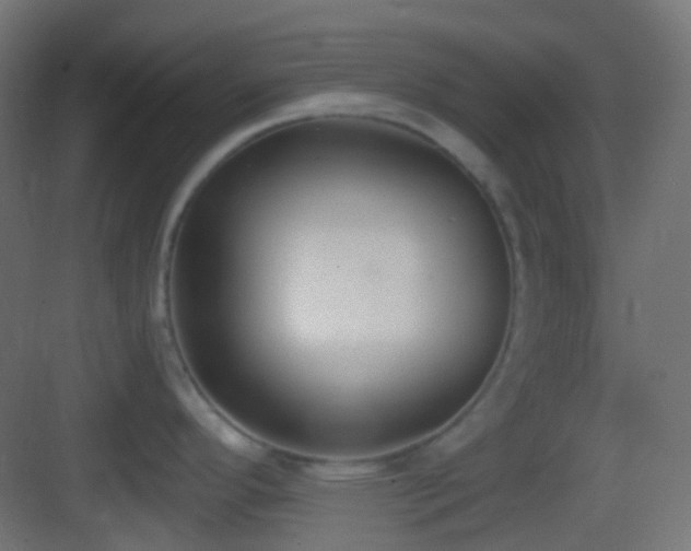 X0000083531296200702090956