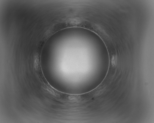 X0000083531299200702090956