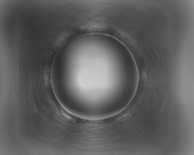 X0000083531300200702090956