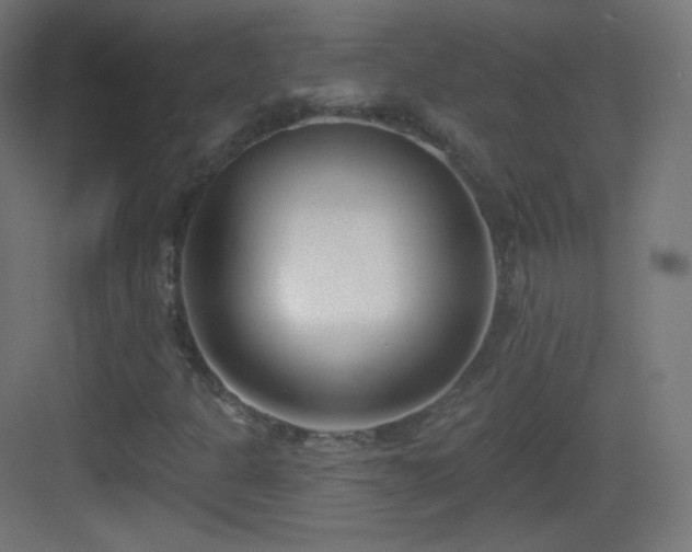 X0000083531301200702090956