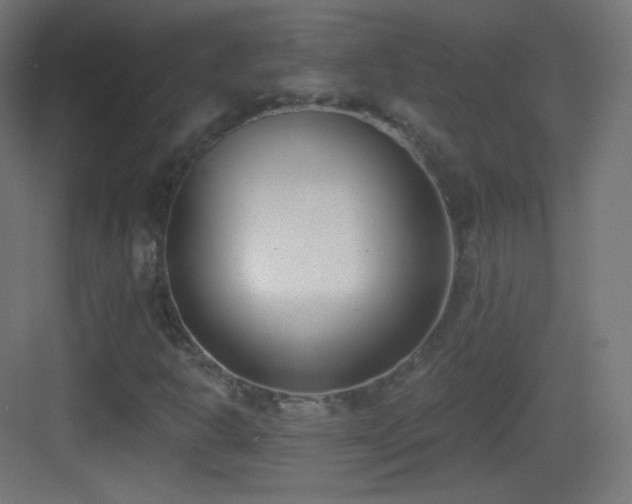 X0000083531302200702090956