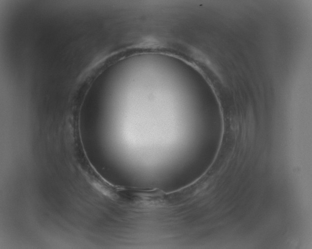 X0000083531304200702090956