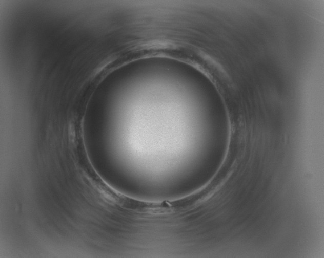 X0000083531305200702090956