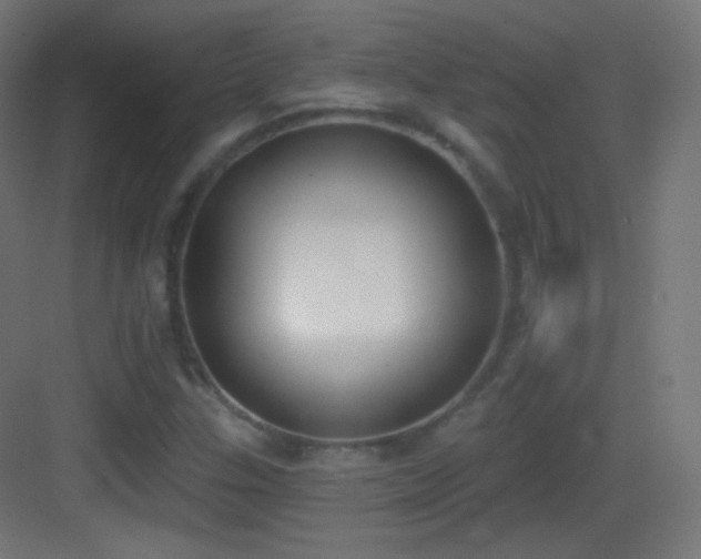 X0000083531307200702090956