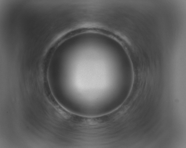 X0000083531311200702090956
