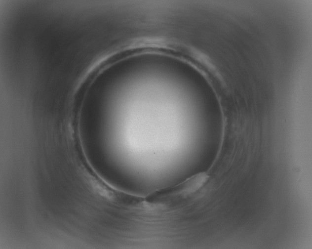 X0000083531312200702090956