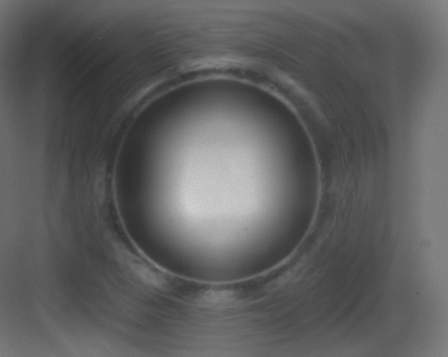 X0000083531313200702090956