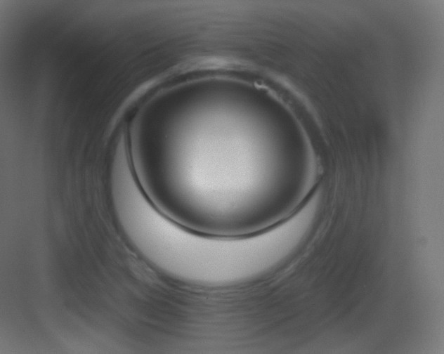 X0000083531314200702090956