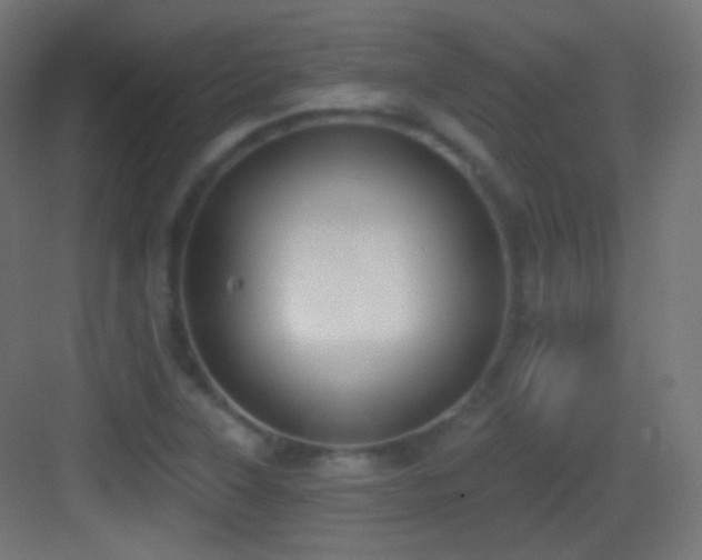 X0000083531315200702090956