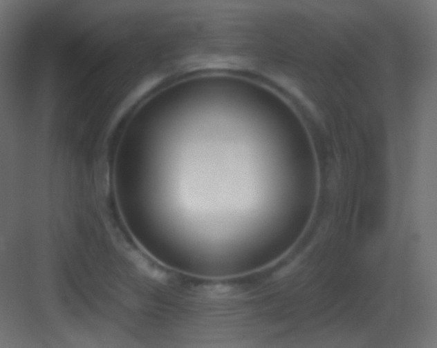 X0000083531317200702090956