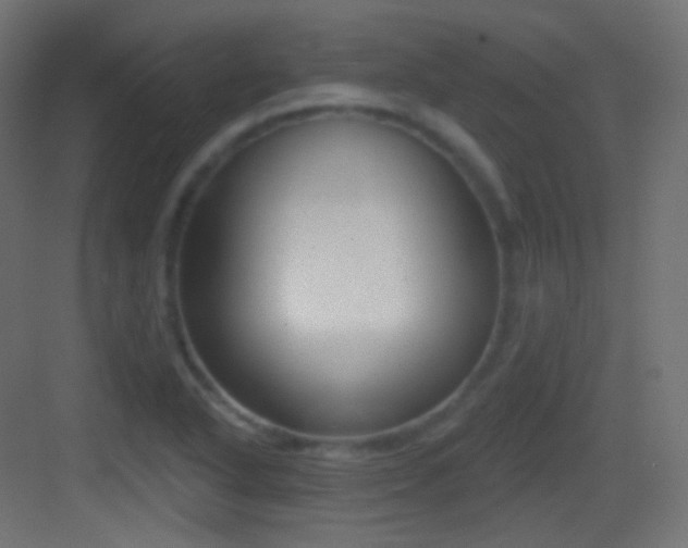 X0000083531318200702090956