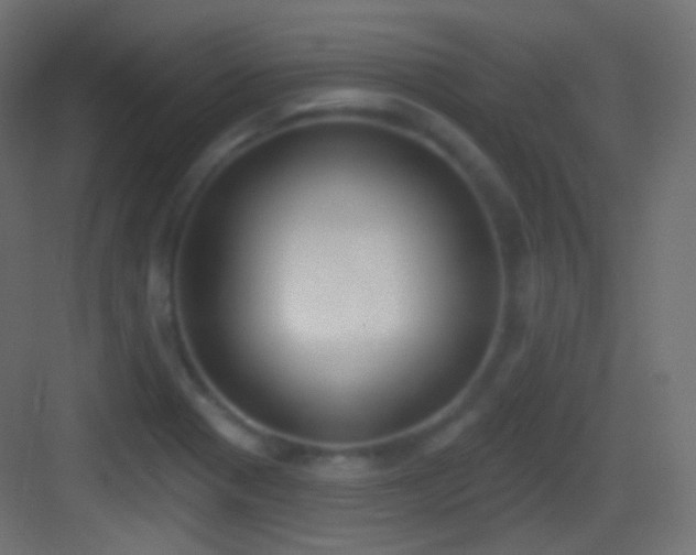X0000083531321200702090956