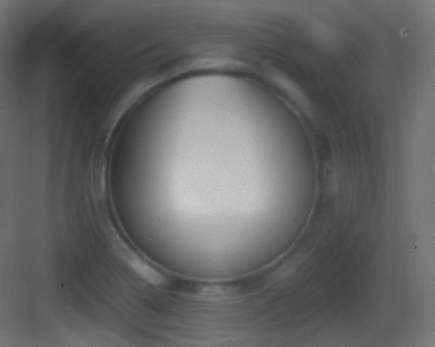 X0000083531322200702090956