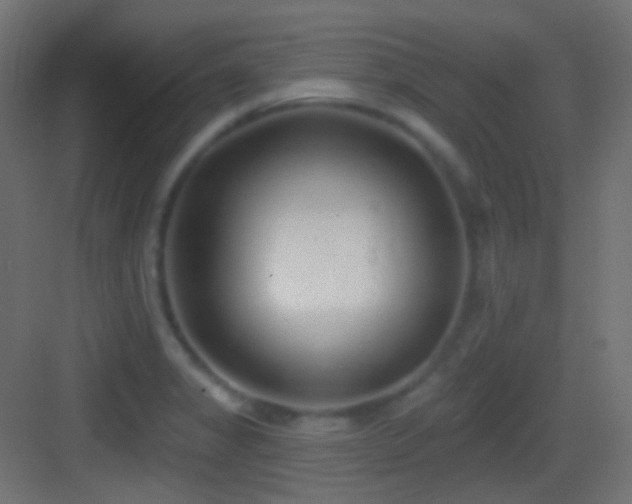 X0000083531325200702090956