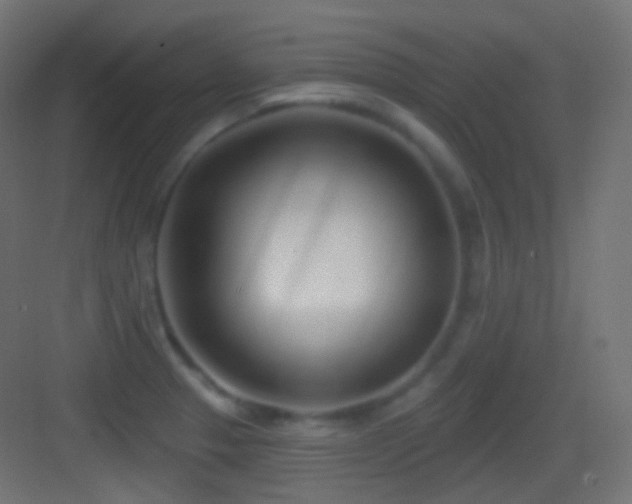 X0000083531329200702090956