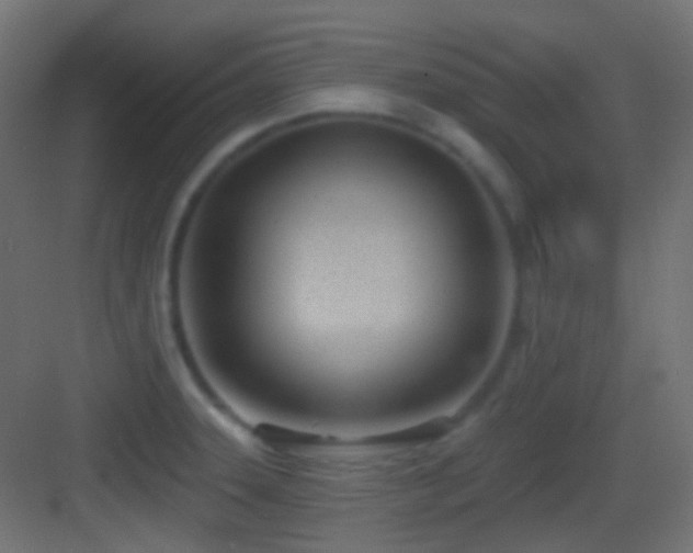 X0000083531331200702090956