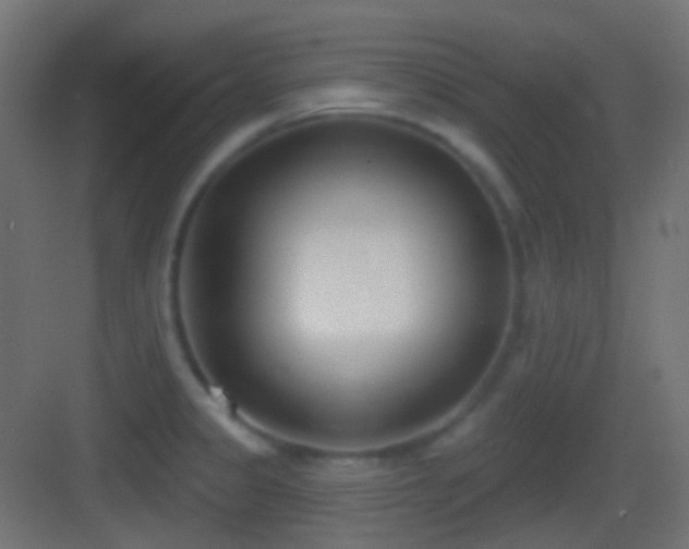X0000083531333200702090956