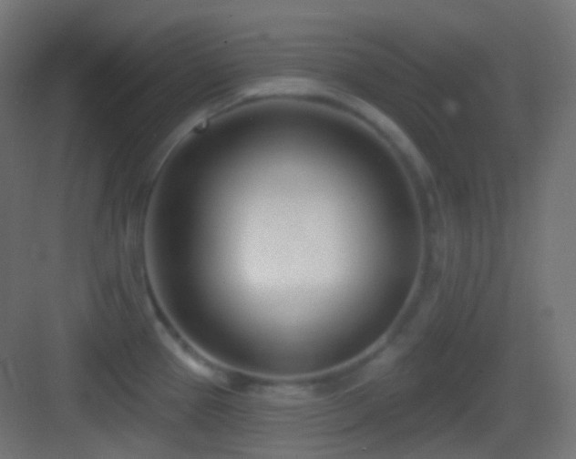 X0000083531337200702090956