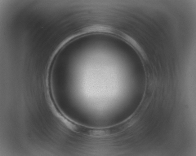 X0000083531339200702090956