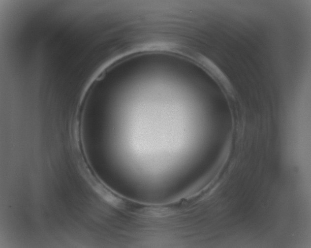 X0000083531340200702090956