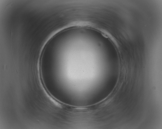 X0000083531343200702090956