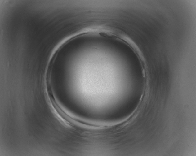 X0000083531344200702090956