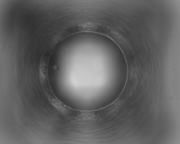 X0000083531346200702090956