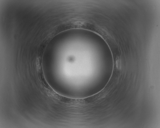 X0000083531347200702090956
