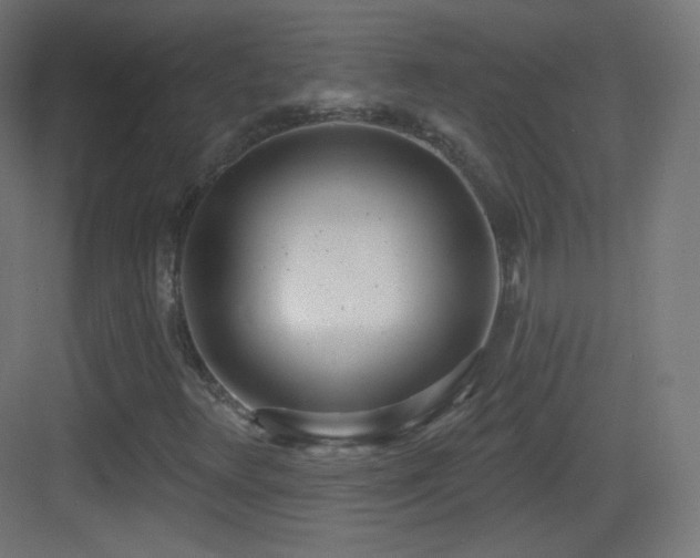 X0000083531348200702090956