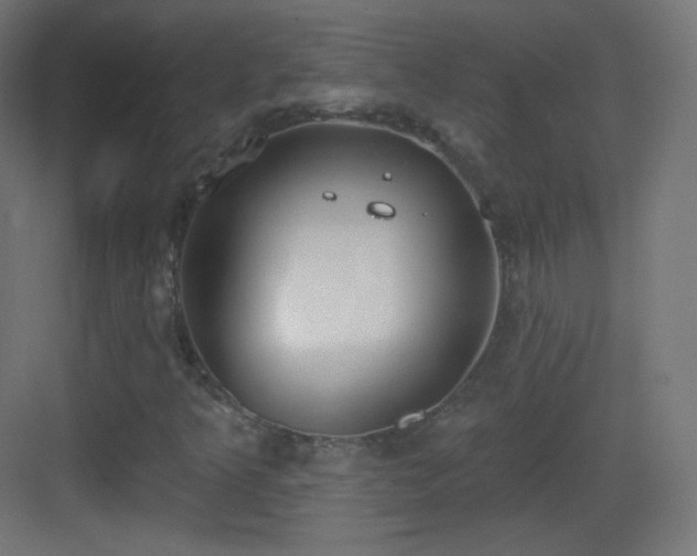 X0000083531349200702090956