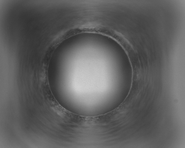 X0000083531350200702090956