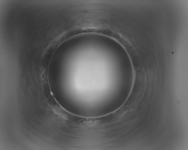 X0000083531351200702090956