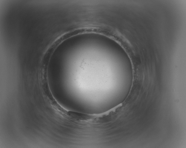 X0000083531352200702090956