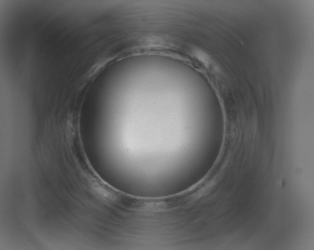 X0000083531353200702090955