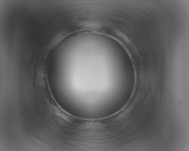 X0000083531354200702090955