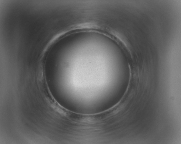 X0000083531358200702090955