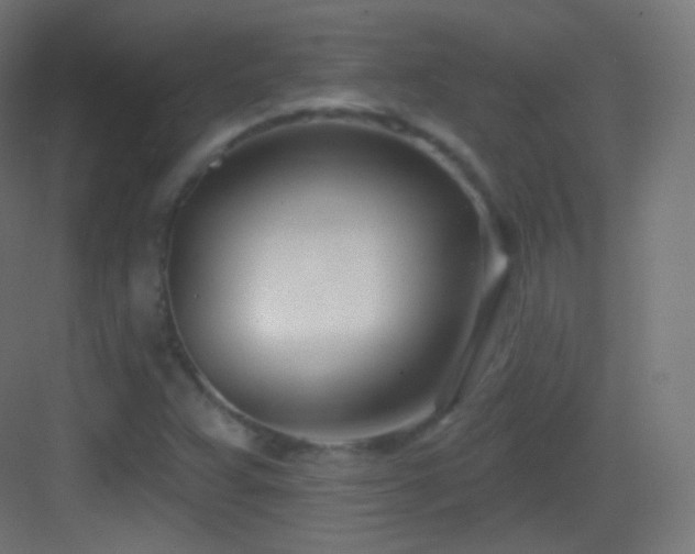 X0000083531359200702090955