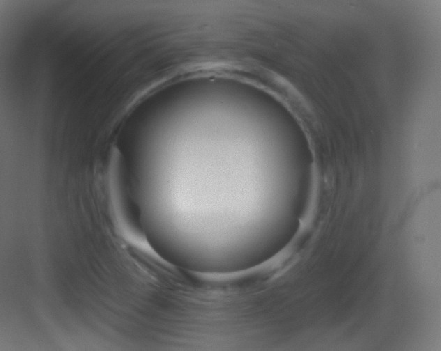 X0000083531361200702090955