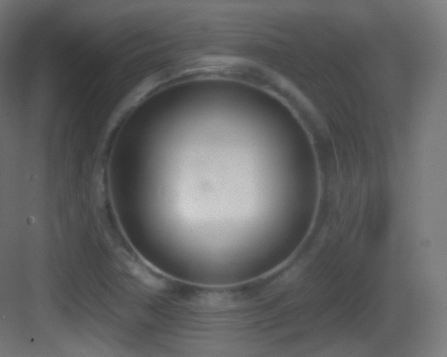 X0000083531362200702090955