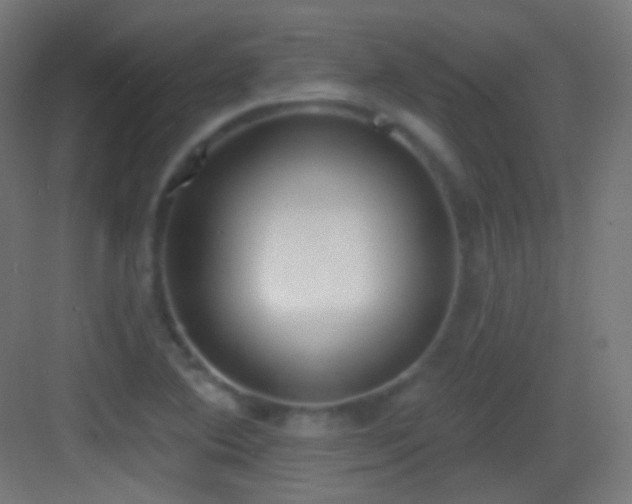 X0000083531364200702090955