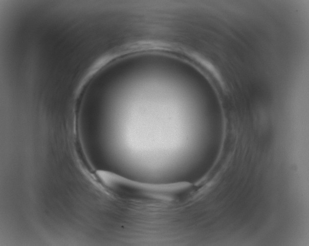 X0000083531365200702090955