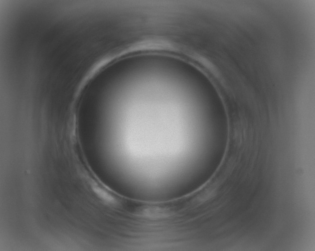X0000083531366200702090955