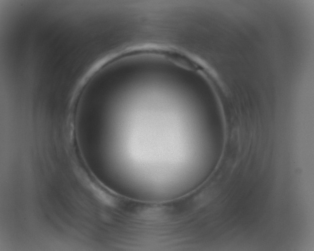 X0000083531367200702090955