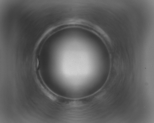X0000083531368200702090955