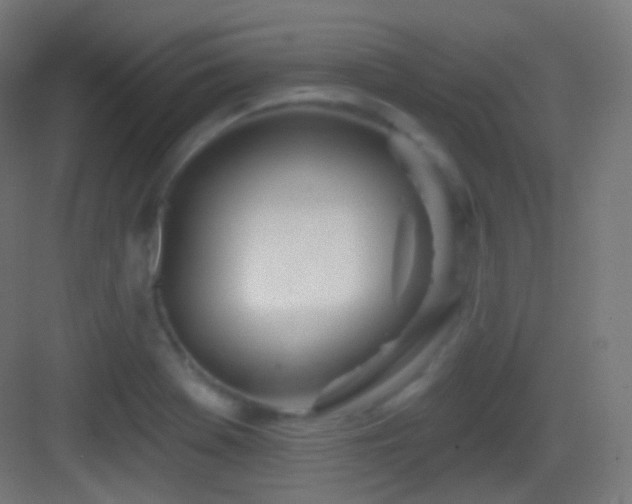 X0000083531369200702090955